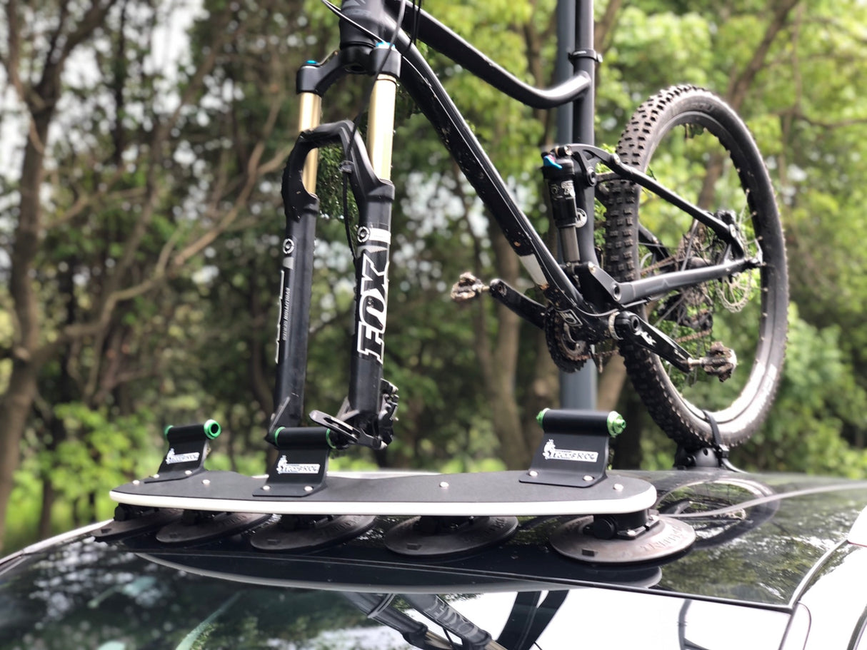 TreeFrog Model Pro3