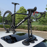 TreeFrog Model Elite 1