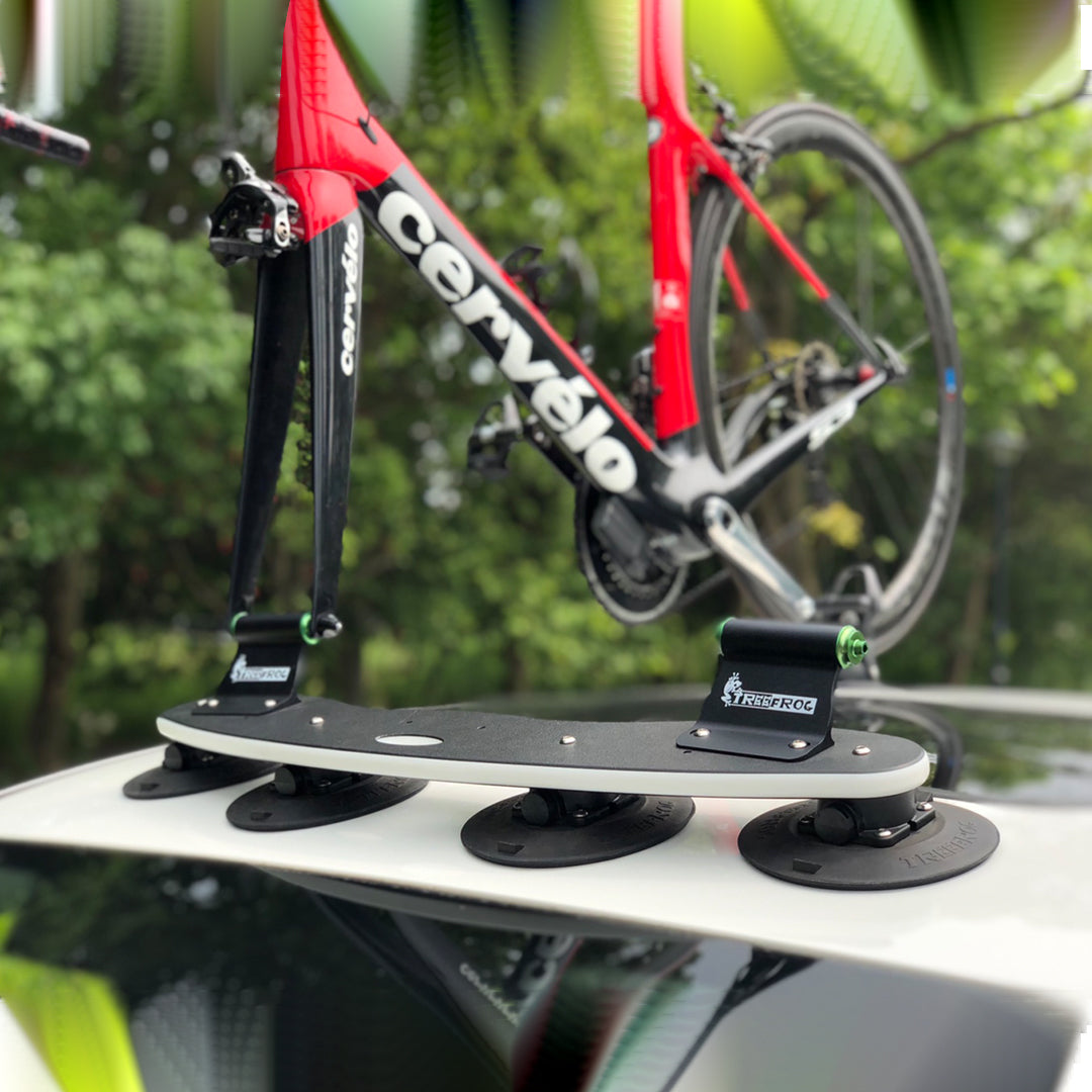 TreeFrog Model Pro 2