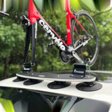 TreeFrog Model Pro 2