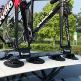 TreeFrog Model Elite 2