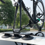 TreeFrog Model Elite 1