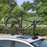 TreeFrog Model Elite 1