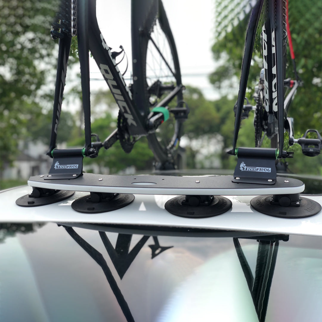 TreeFrog Model Pro 2